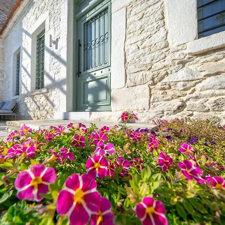 Hibiscus Theologos (Thasos)